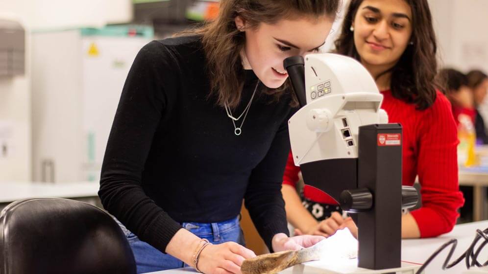 Students looking at archaeological collections at the Wolfson Laboratory